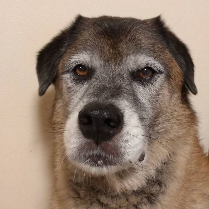 C76d6096 264e 4264 b2a0 9732706ab25c 1566298379463