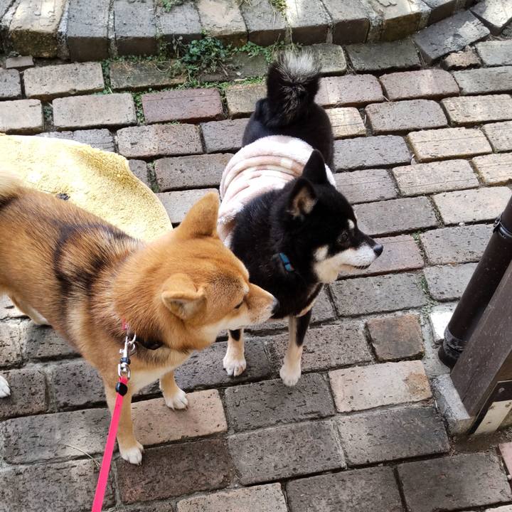 C76d64e4 9d61 4cb9 9b40 970d25e38e82 1637574955529