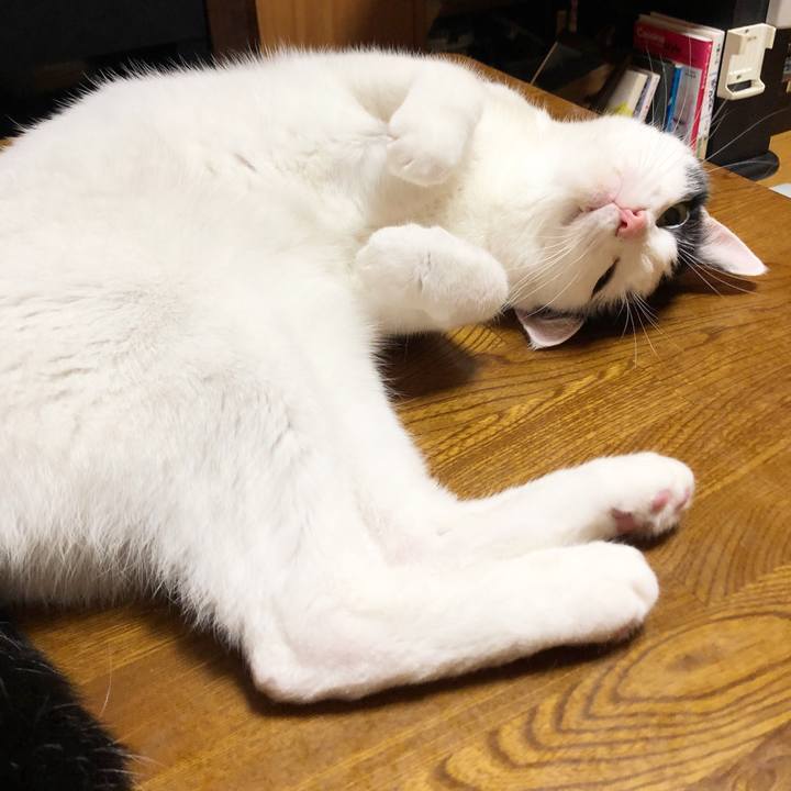 C76d7620 749f 47fd b43f a49b819882b9 1565620586978