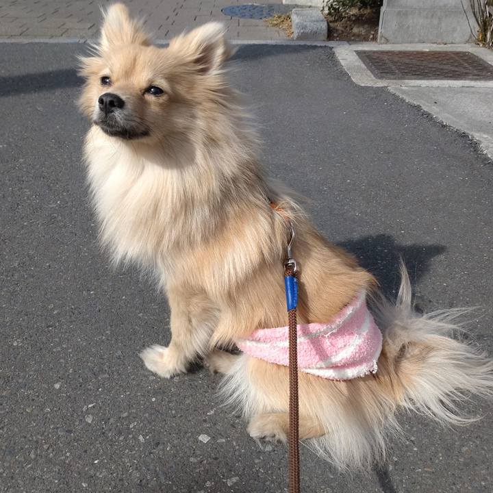 C76db2a0 88ff 49f5 a2dc 9a9c7d5cff12 1740103372001