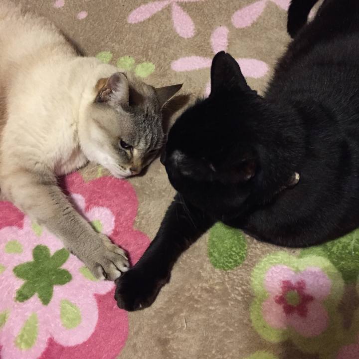 C76de7a9 029d 4461 8afd 88c534fb6bd7 1519561399461