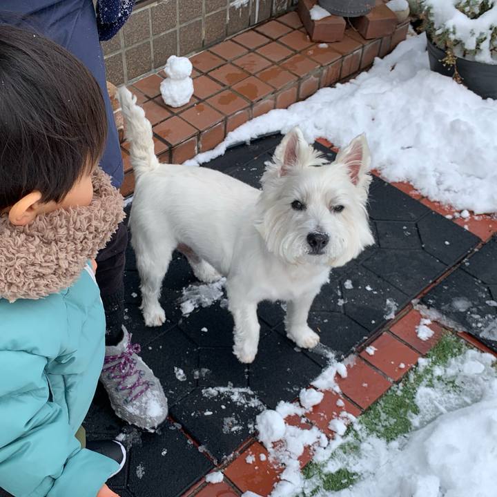 C76e057b fd8f 4052 9814 f16605585997 1607925024036