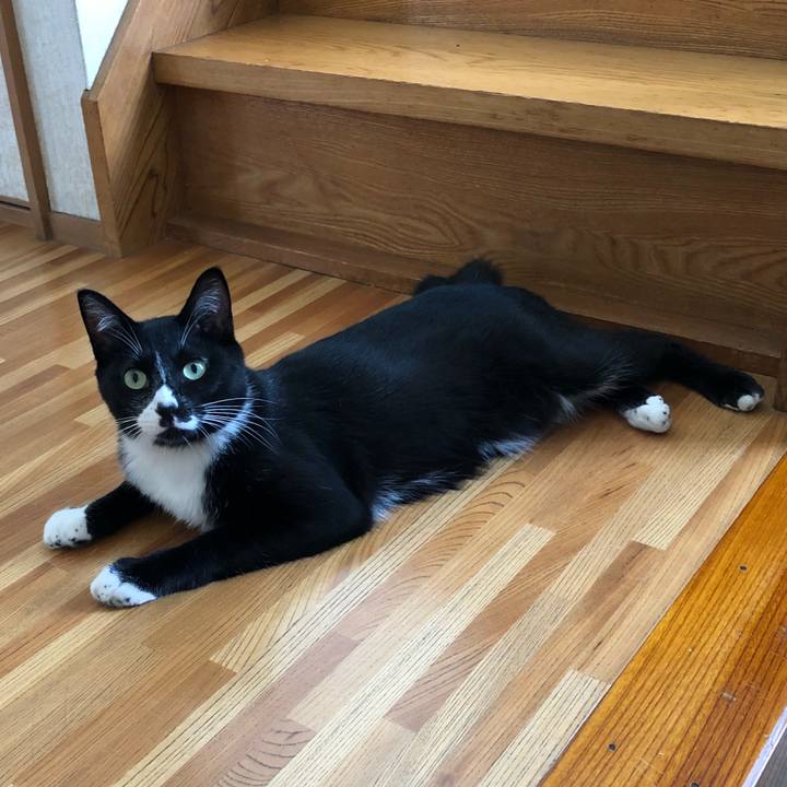 C76e0728 2cfd 4109 870d 6289821ab292 1537771068339