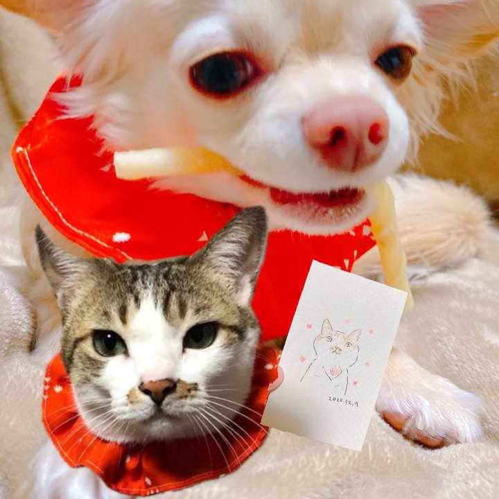 C76e3bea 8ce6 4f1c 82b5 15795ee26bb4 1643882090946