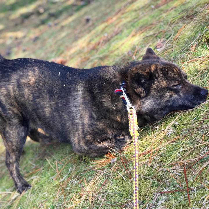 C76e7e6d 53f8 4ef4 a681 0c1d5ea1b247 1522040001824