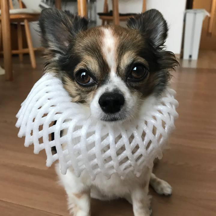 C76e888b 5bcc 4147 b05a 4e0d16ebd321 1531436118125