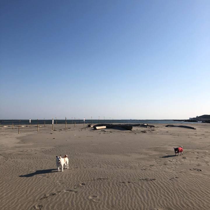 C76e9df5 786a 40e9 99a3 8b92a559cd8a 1585869216365