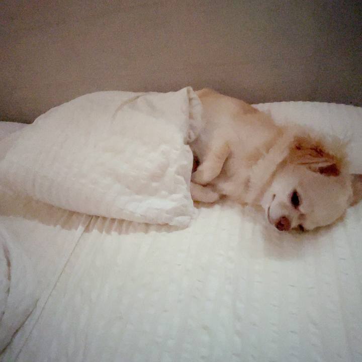 C76ec999 5df1 4dc7 ad29 358c69248eab 1752549416444