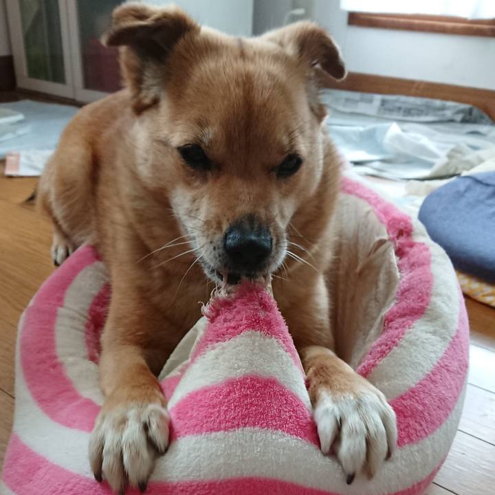 C76ecee4 dfa6 49de beff 501033c970bc 1588739120116