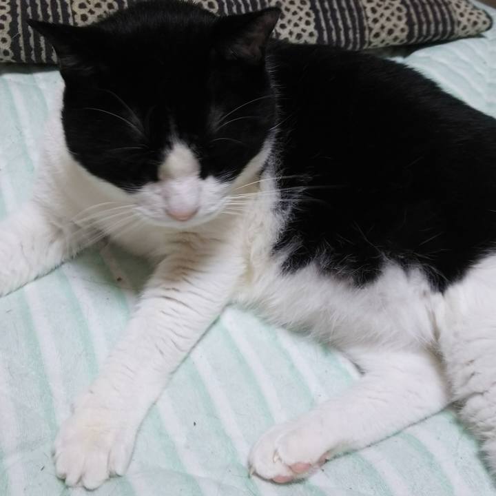 C76eeb53 5475 4645 986e 74c73e390405 1535753496778