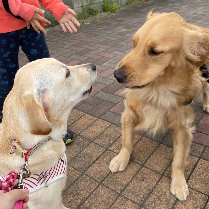 C76eed4f 0167 4a69 b2c0 14ab416133ce 1619844853886