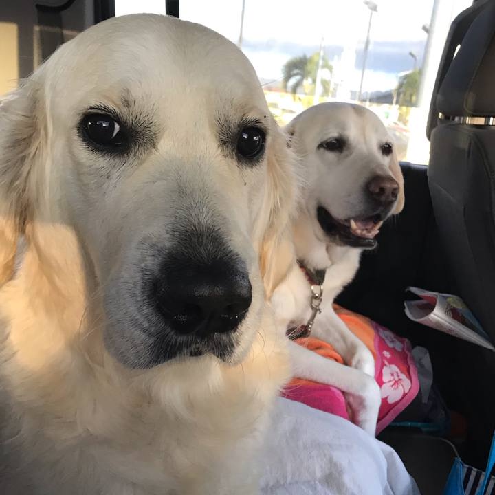 C76f04ca 81c6 4ec2 a646 4d14b1437de9 1552020819183