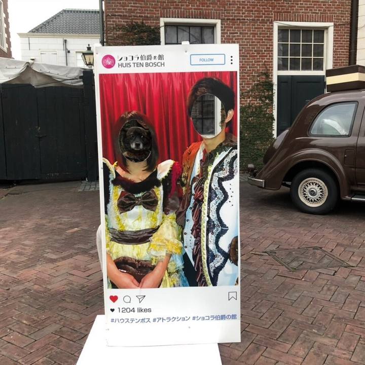 C76f0cf2 6a62 4bd9 92ab 7712a0740ee1 1544484865765