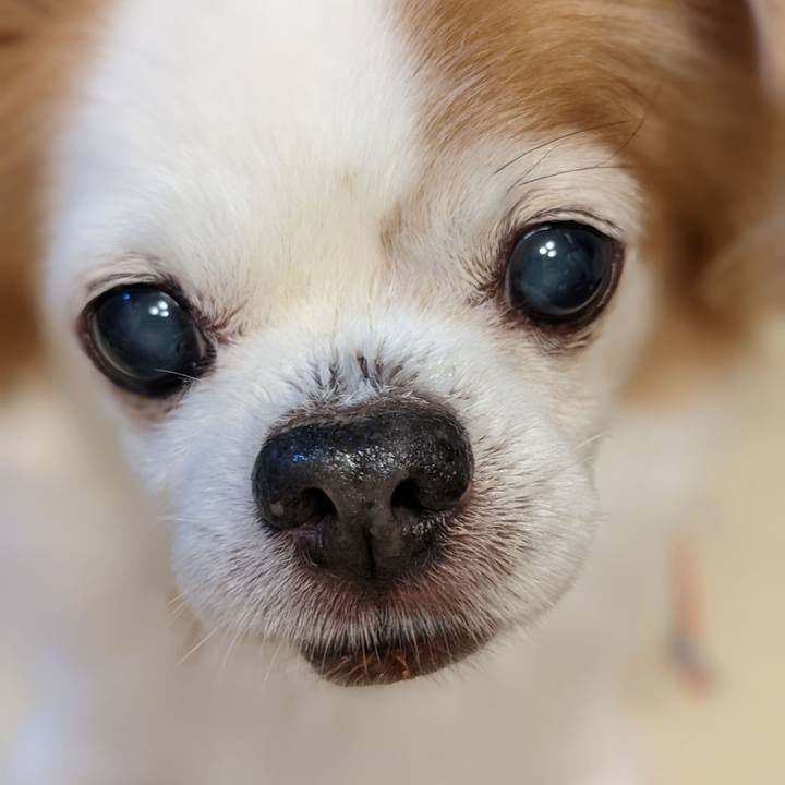 C76f1248 3d02 4e66 a726 e08382b21180 1659791539510