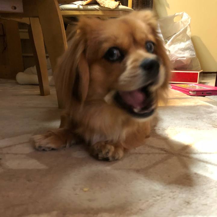 C76f2908 a11b 4ca7 ba11 cbcfdc9557bf 1520976952253