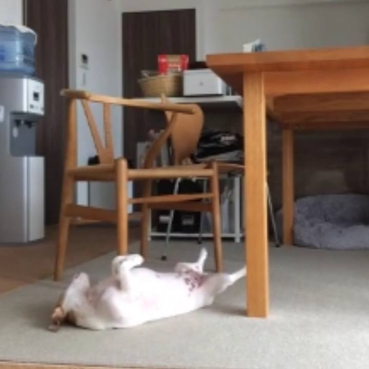 C76f2963 330f 4f4a ba86 9dfd760d01a7 1567741999559