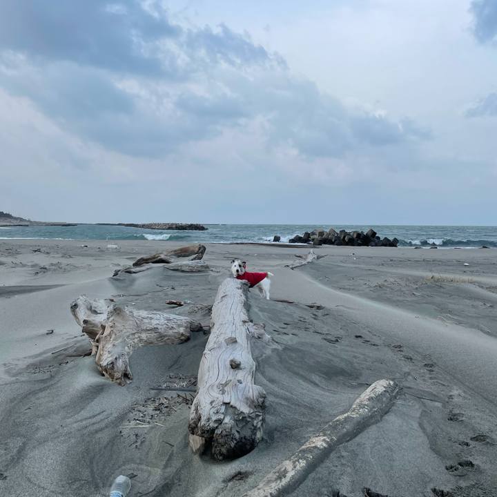 C76f2c40 70f0 4799 a31e 1546aa7f595c 1612655576383