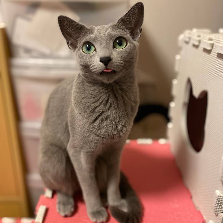 C76f6c6c 9916 4701 8478 91579fcb98bd 1639134081000