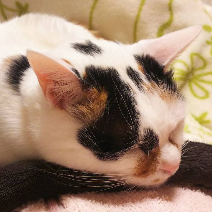 C76fa3f3 9f57 447b 914d 4a66875b46b6 1521121051733