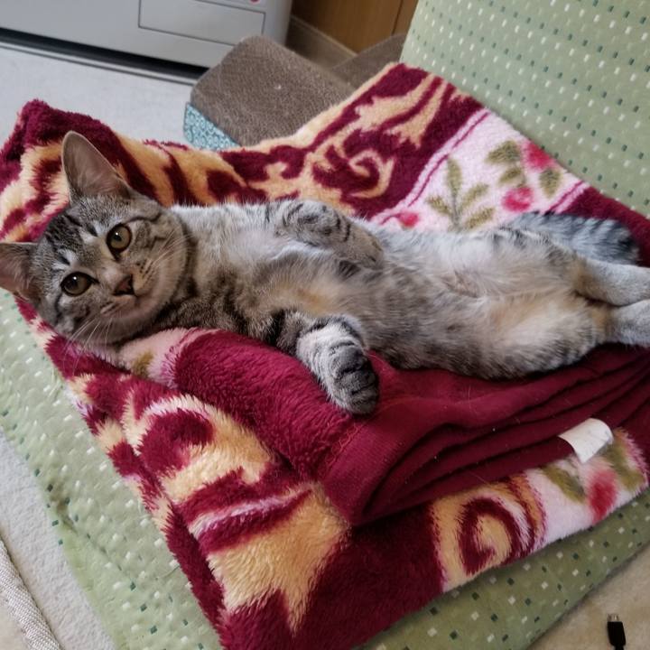 C76fa8f2 1e50 4200 9ef0 a6e3bd6643b0 1670028861982