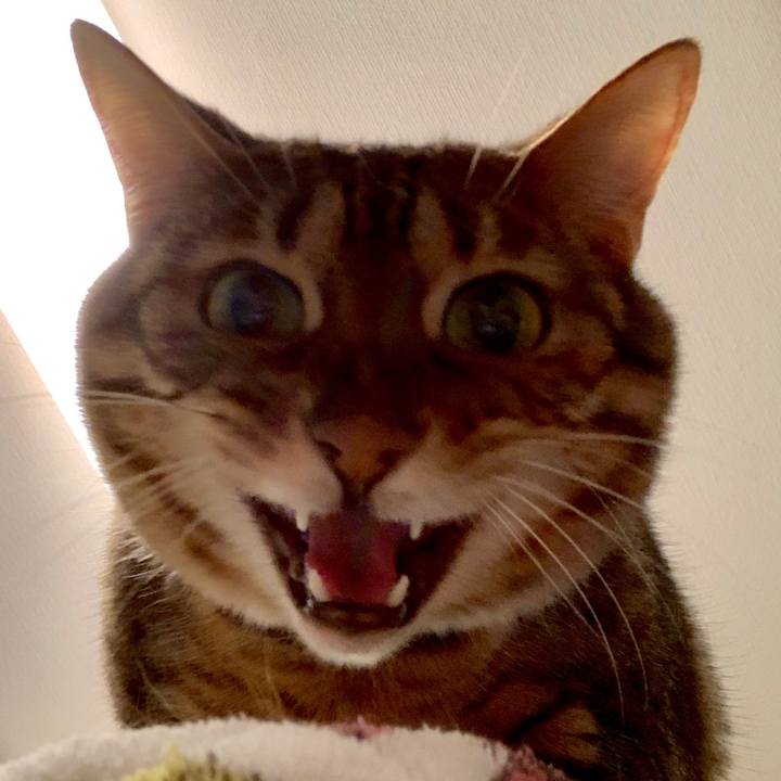 C76fc758 78c7 4b8b 900f a94d38218591 1553130206849