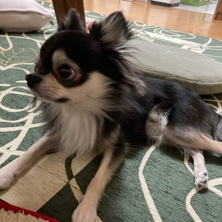 C76fd0b6 c334 4713 8b01 dbcc5d272241 1636900356117