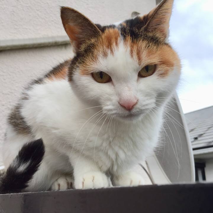 C77005c4 81cd 4600 a4cb ef9e17b0dbc1 1571637172563