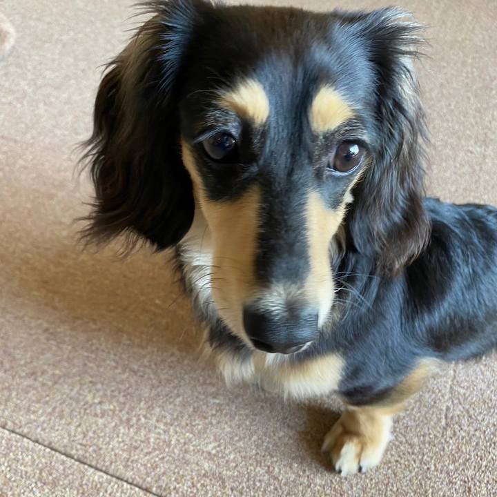 C7704493 1997 411a b2b7 95e341ae880d 1682749080122