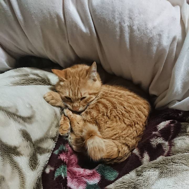 C770707a e2d7 499b a88d 6bd962df68ba 1640782507193