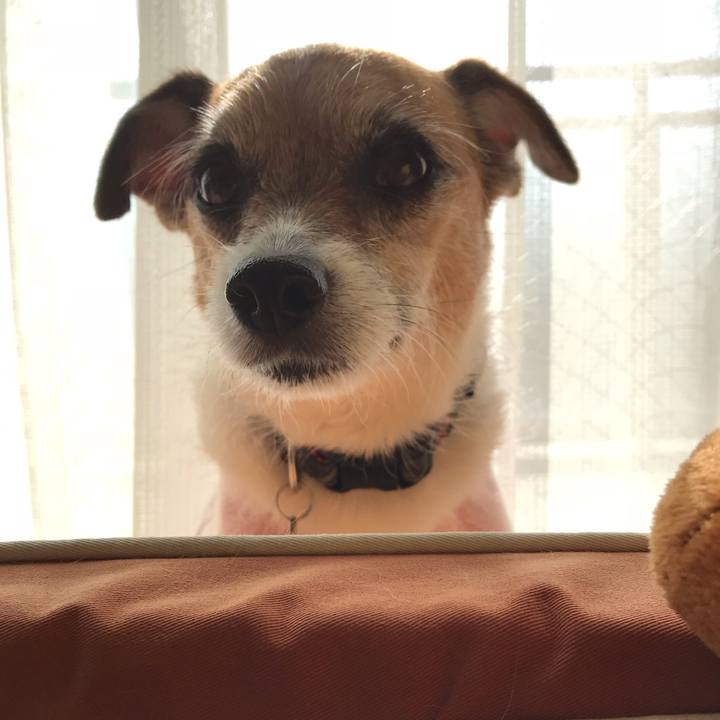 C77070a2 5da4 43a7 b29f e8e9d516fb97 1541809593831