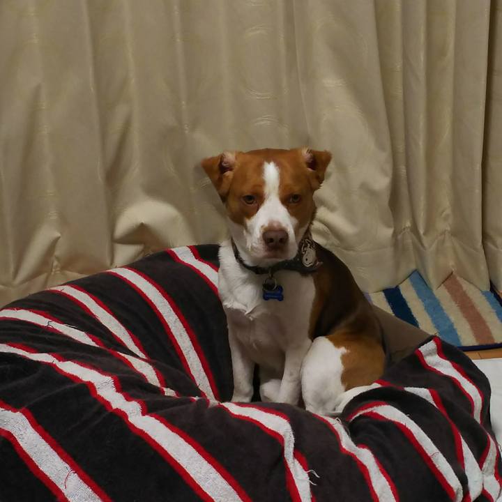 C7709ab8 851f 42bb 9a2a 6b24bff7f7f4 1513496816689