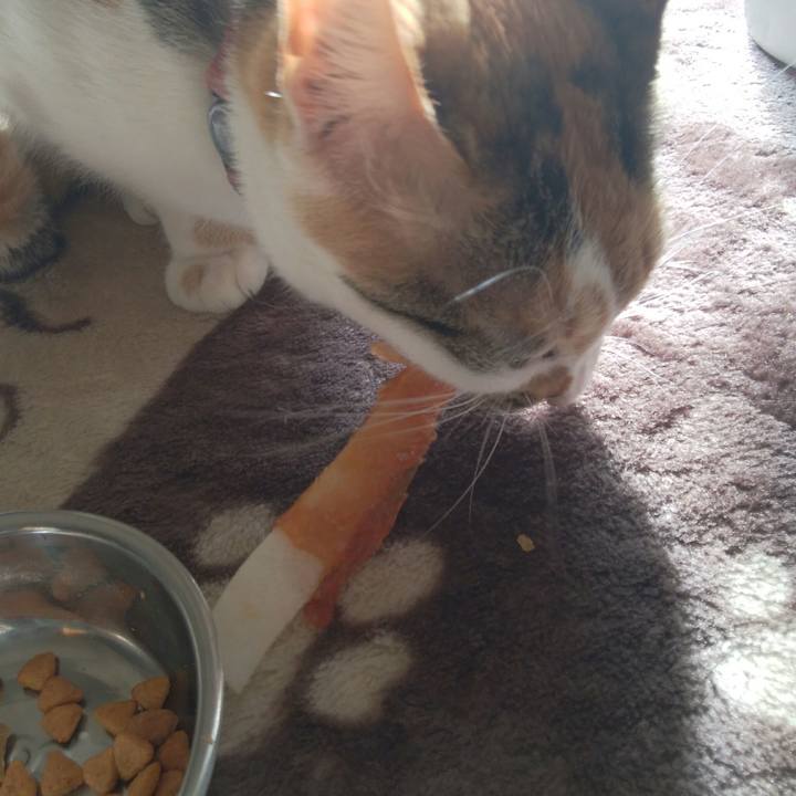 C7709eb8 d7c5 4ac6 8821 dfa182a153ea 1514696094675