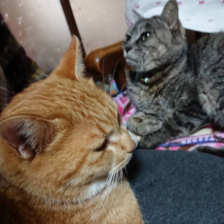 C770cb23 b38e 47e8 b2ce a8eab96c387a 1575769078211