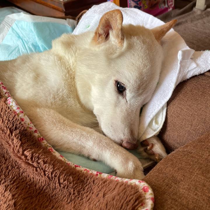 C770cdac 7ffe 42d0 a072 dae7ce9d3e83 1668484333271