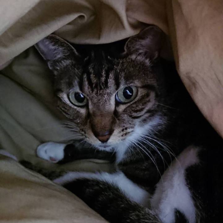 C770dd46 46d1 4d5b bcb9 b4a2326ec558 1665801199417