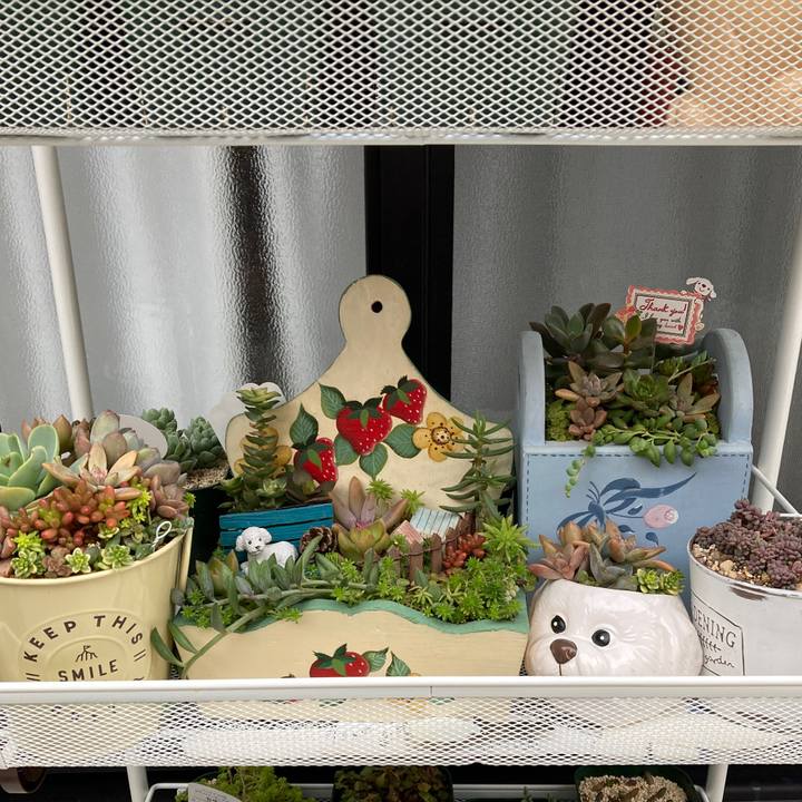 C770e098 833c 4360 abbb 207bd5dde54c 1642229845702