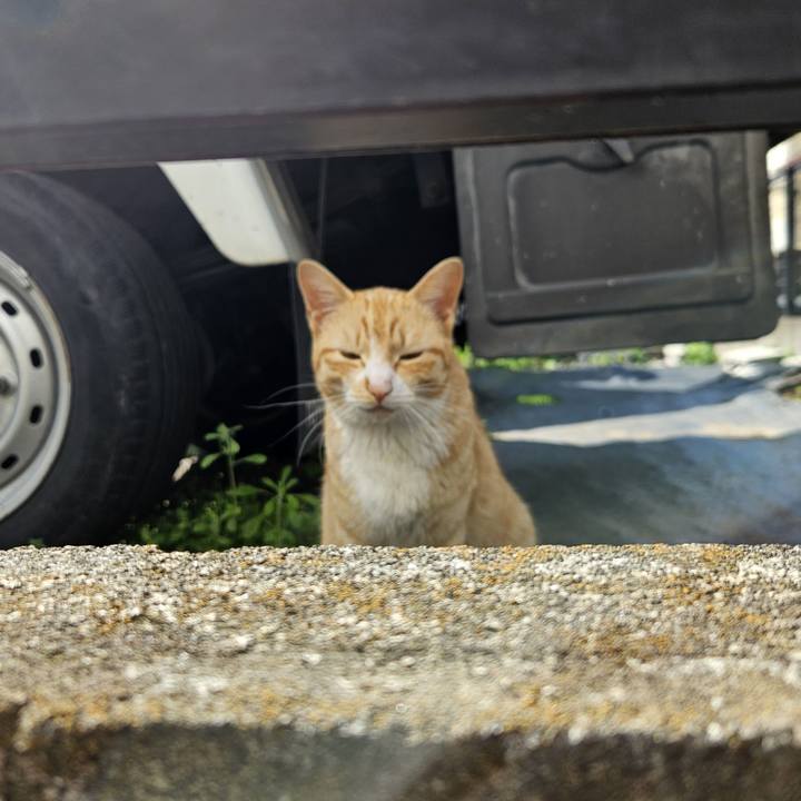 C7710913 0ca2 49e7 bffe 9b1656ece444 1714233251776