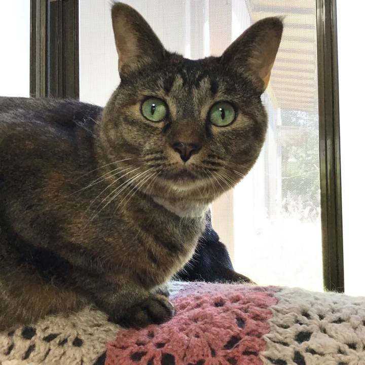 C7710988 3043 4dce aeb9 53fb91b6bbea 1727841637463