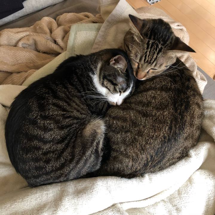 C7711206 a14e 4907 ace4 5b517b16ec72 1541362473856