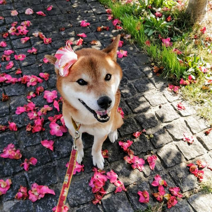 C77126b5 9772 4338 9677 2e3b70fd0648 1616050997472