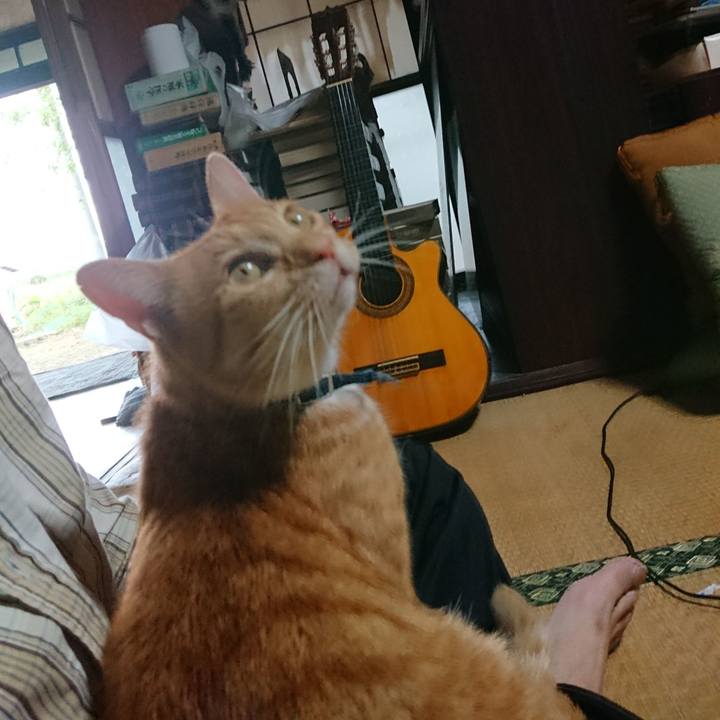 C7713a2f 4c42 450b ad9b c42a3047cb22 1601191492218