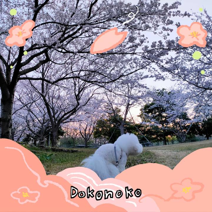C7715999 0a8c 4b1e addc dbd8bcd5e43f 1775212797095