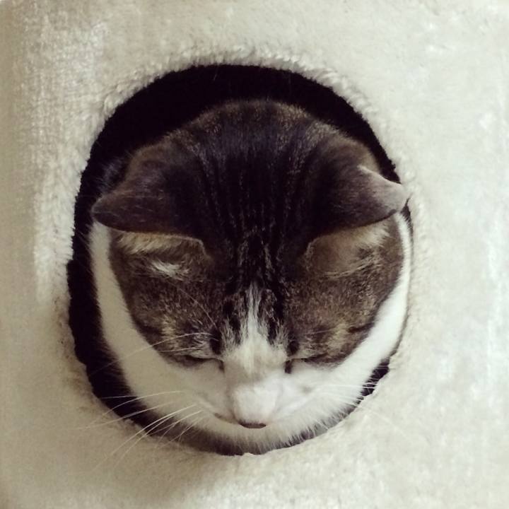 C7715fea d25f 4314 a05e a17cbe853837 1519739273364