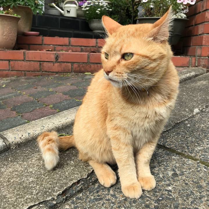 C7716d5b aed7 4f4e aa57 59dc9747ad8b 1524737112064