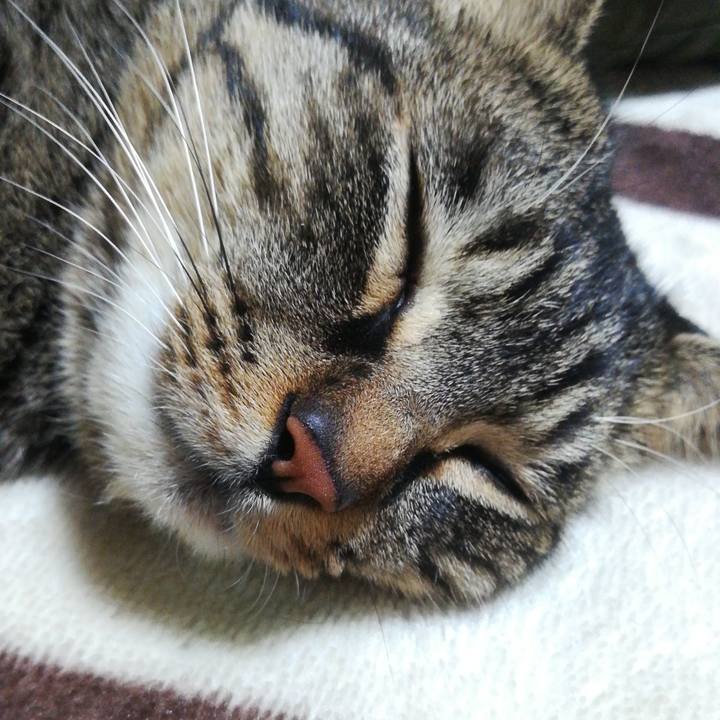 C7716eec 1542 4142 a574 915035fa7103 1512995913093