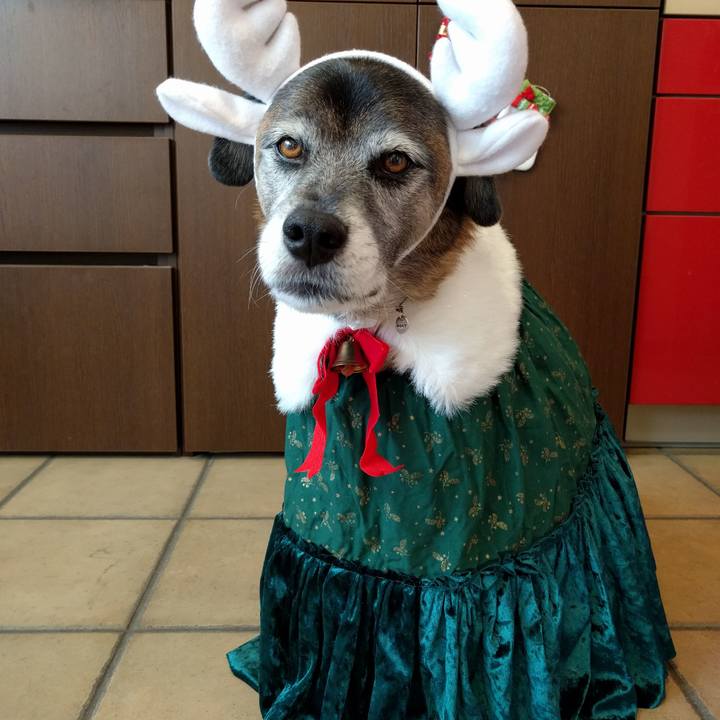 C7717193 a02f 48e2 97c8 95949196097d 1514292666572