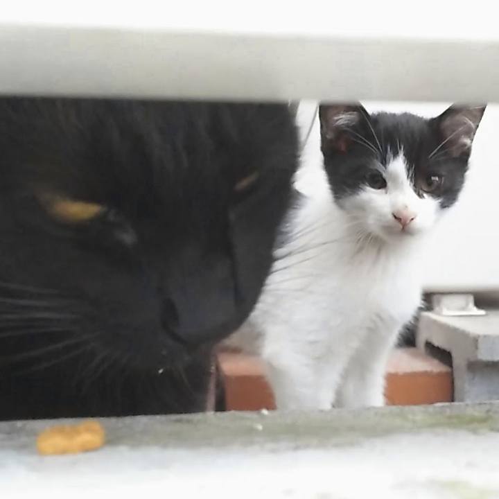 C771911d 4762 49c7 b418 c833cf2ff5a9 1541393959547