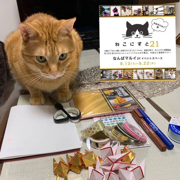 C771b9e6 5b4c 440b bc82 b5d0331e0114 1599650845931