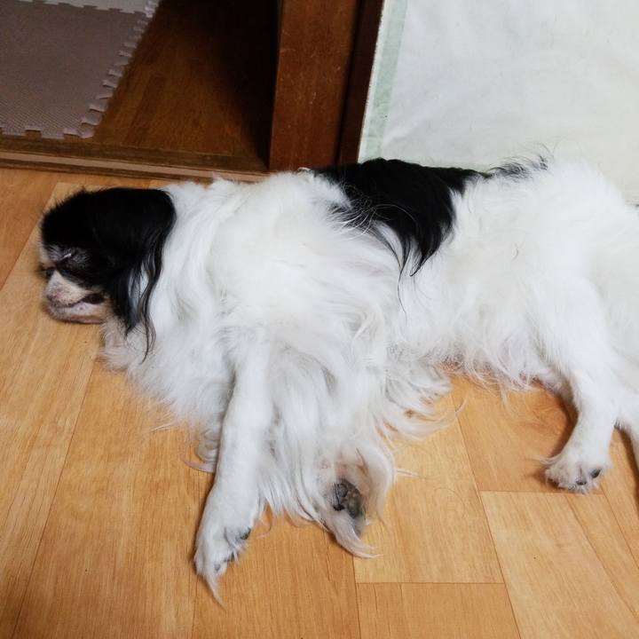 C771ba61 b5ba 44ff 9124 8fd1f3a41bba 1535892244376