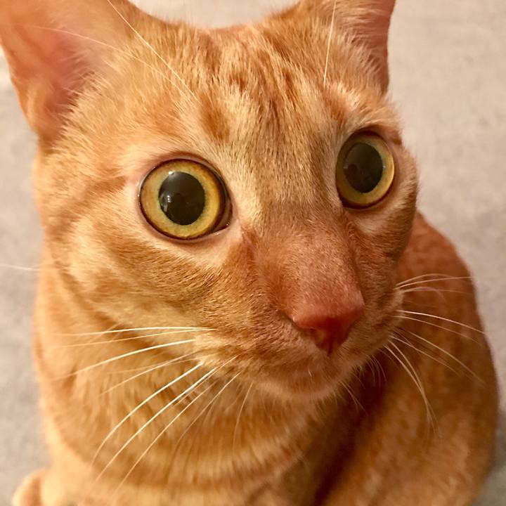 C771bc06 d293 4680 b088 1b42166d746a 1612521828454